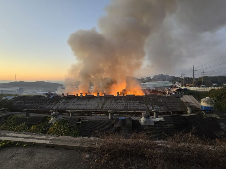 [아산=뉴시스] 지난 7일 오전 4시35분께 충남 아산시 인주면 해암리의 한 양계장에서 불이 나 연기가 하늘로 치솟고 있다. (사진=아산소방서 제공) 2024.11.08. photo@newsis.com *재판매 및 DB 금지