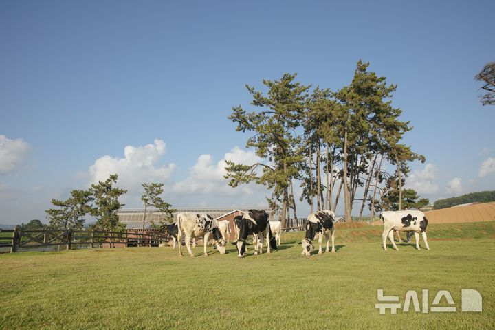 [서울=뉴시스] 상하목장, 국내 최초 저탄소 인증 획득. (사진= 매일유업 제공)