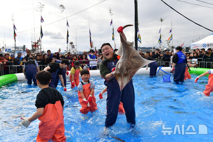 [울진=뉴시스] 송종욱 기자 = '2024 죽변항 수산물 축제'가 8~10일 사흘간 울진 죽변항 일원에서 열린 가운데 관광객이 몰려 성황을 이루고 있다. 사진은 관광객이 맨손으로 활어 잡기 체험 프로그램에 참여해 홍어를 잡고 '화들짝' 놀라며 즐거워 하는 모습. (사진=울진군 제공) 2024.11.09. photo@newsis.com 