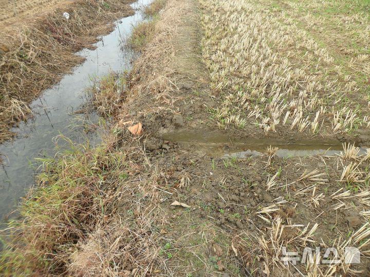 [세종=뉴시스]배수로와 배수구 연결 상태가 미흡한 모습.(사진=농진청 제공)