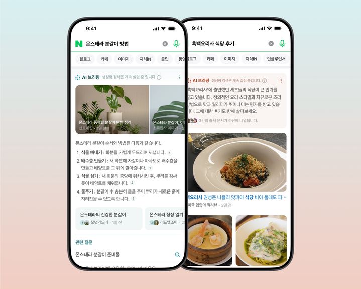 [서울=뉴시스] 네이버 'AI 브리핑' (사진=네이버 제공) *재판매 및 DB 금지