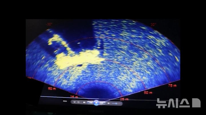 [제주=뉴시스] 지난 9일 오전 제주시 비양도 해상에서 실종 선원 수색 작업을 벌이고 있는 해군 광양함 ROV(수중무인탐사기)가 소나(음파탐지기)로 촬영한 수중 약 90m에 위치한 금성호 선체. (영상 = 해군 제공) 2024.11.11. photo@newsis.com