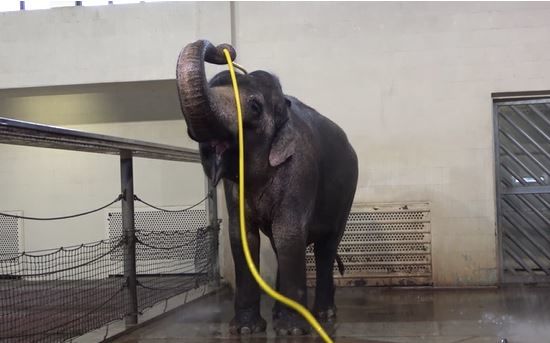 [서울=뉴시스] (사진= 데일리메일 보도화면 캡처) *재판매 및 DB 금지