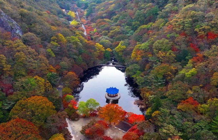 [정읍=뉴시스] 단풍 절정기를 맞이하는 내장산 우화정 풍경. *재판매 및 DB 금지