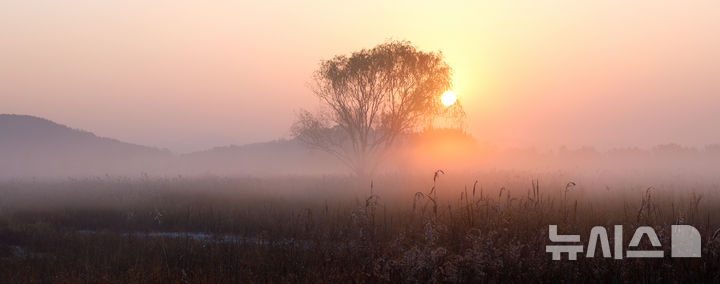 대전·세종·충남 짙은 안개 조심해야…오전 한때 비 또는 눈