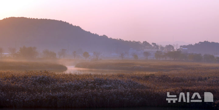 [인천=뉴시스] 전진환 기자 = 내륙을 중심으로 안개가 짙게 낀 2024년 11월11일 오전 인천 남동구 소래생태습지공원이 안개로 덮여 있다 2024.11.11. amin2@newsis.com