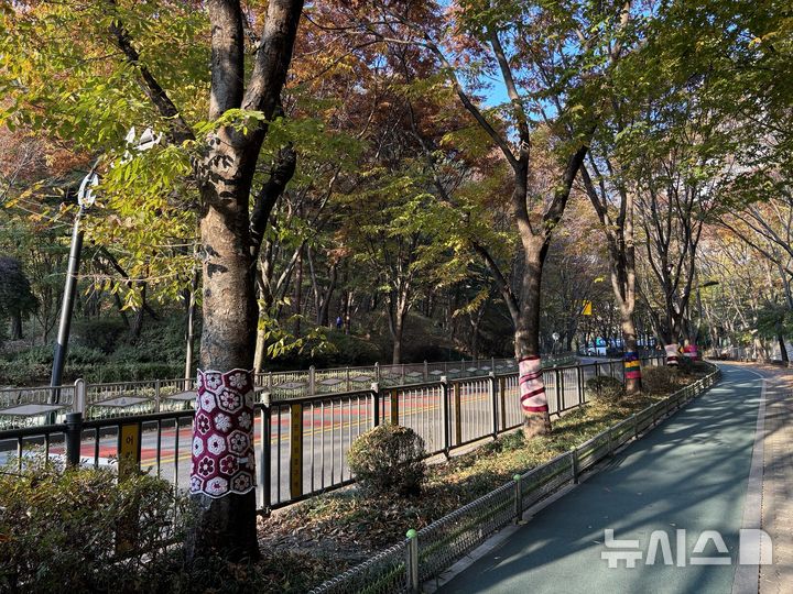 [군포=뉴시스] 군포시, 수리동 주민자치회가 최근 관내 수릿길 나무에 추운 겨울에 대비해 따뜻한 뜨개옷을 입혔다.(사진=군포시 제공).&nbsp; 2024. 11. 12.photo@newsis.com *재판매 및 DB 금지