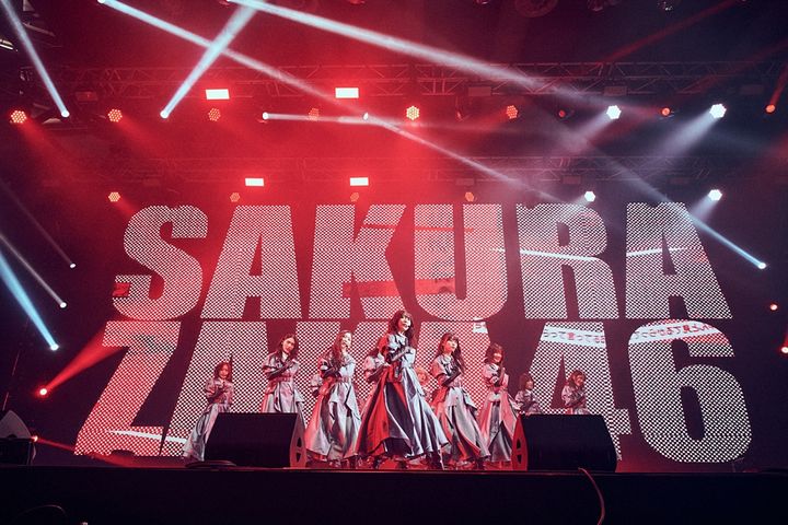 [서울=뉴시스] 사쿠라자카46. (사진 = 원더리벳 프렌즈(WONDERLIVET FRIENDS) 제공) 2024.11.12. photo@newsis.com *재판매 및 DB 금지