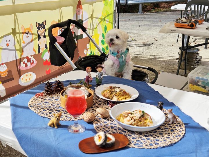 [함양=뉴시스] 함양군청 함양 산삼자연휴양림, 반겨견과 함께하는 ‘숲속 멍스토랑’ 열려 *재판매 및 DB 금지 *재판매 및 DB 금지