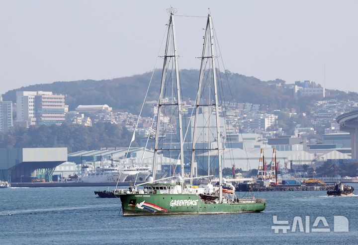 [부산=뉴시스] 하경민 기자 = 국제 환경단체 그린피스의 상징인 환경감시선 '레인보우 워리어호'(855t)가 12일 부산항 북항 앞 해상에 묘박하고 있다.   2011년부터 전 세계를 누비고 있는 레인보우 워리어호는 길이 57.9m, 높이 54.2m(돛 포함) 크기이며, 20여 명이 승선한 것으로 알려졌다. 그린피스는 이달 말 부산에서 열리는 국제 플라스틱 협약 제5차 협상회의(INC5)를 통해 강력한 플라스틱 협약을 촉구하는 다양한 활동을 전개할 예정이다.  2024.11.12. yulnetphoto@newsis.com