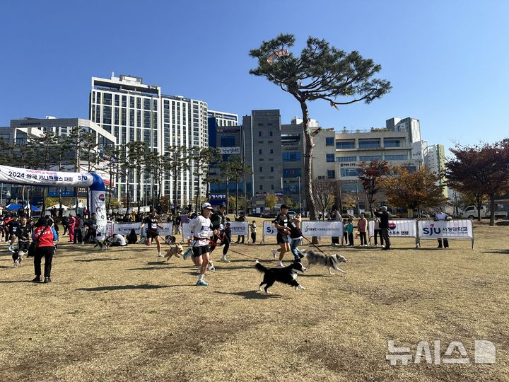 [양주=뉴시스] 서정대학교 총장배 2024 한국 캐니크로스 대회. (사진=서정대 제공) 2024.11.13 photo@newsis.com