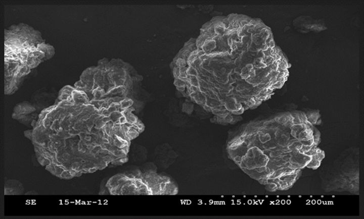 "건기식에서 신약으로"...영토 넓히는 '마이크로 바이옴' - 뉴스 썸네일 이미지