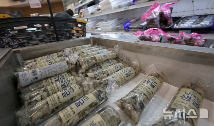 [서울=뉴시스] 김선웅 기자 = 본격적인 김장철에 돌입한 지난해 11월 13일 서울 소재 유통매장에서 생굴 등 김장 재료가 판매되고 있다. (사진은 기사와 관련이 없습니다. ) 2024.11.13. mangusta@newsis.com