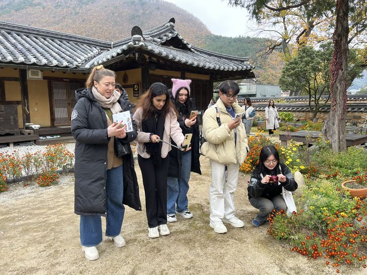 [정선=뉴시스] 외국인 인플루언서 팸투어. (사진=정선군 제공) 2024.11.14. photo@newsis.com *재판매 및 DB 금지