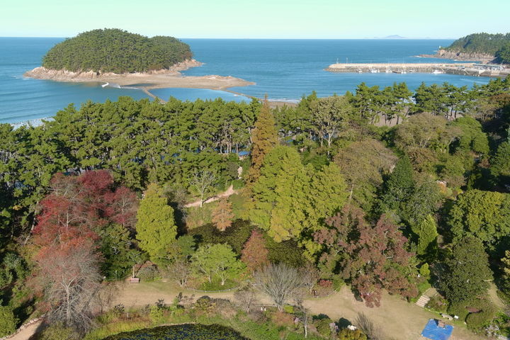 [세종=뉴시스] 드론으로 촬영한 천리포수목원 전경. (사진=천리포수목원 제공) *재판매 및 DB 금지