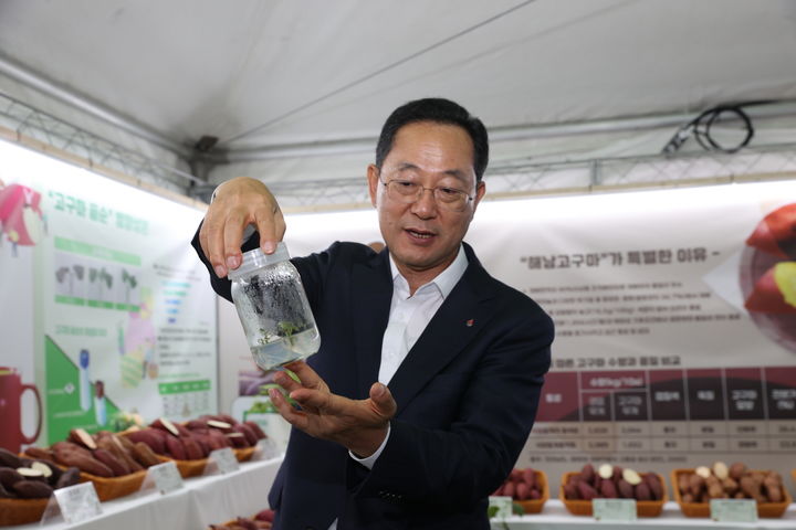 [해남=뉴시스]해남미남축제 고구마 전시관 찾은 명현관 해남군수. (사진=해남군 제공) 2024.11.18. photo@newsis.com *재판매 및 DB 금지