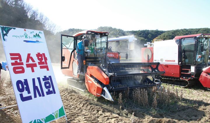 {안동=뉴시스] 지난 달 울진군 평해읍에서 추진되고 있는 '경축순환특구'(들녘특구)' 2모작으로 콩 수확이 진행되고 있다. (사진=경북도 제공) 2024.11.18 *재판매 및 DB 금지