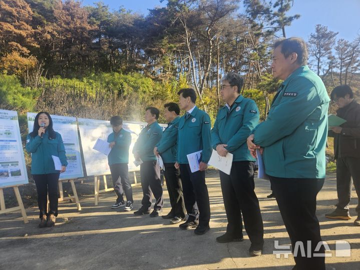 [밀양=뉴시스] 박명균(맨 오른쪽부터) 경남도 행정부지사와 임상섭 산림청장이 19일 오전 밀양시 무안면 마흘리 일원에서 소나무재선충병 집단피해지 방제 상황에 대한 설명을 듣고 있다. (사진=경남도 제공) 2024.11.19. photo@newsis.com