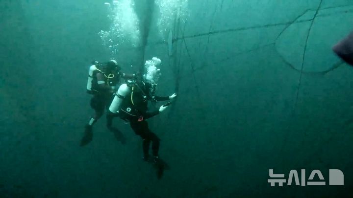 [제주=뉴시스] 해경 잠수사들이 19일 오전 제주 비양도 해상에서 '135금성호' 실종 선원 10명을 찾기 위해 수중 수색을 하고 있다. (사진=제주지방해양경찰청 제공) 2024.11.19. photo@newsis.com 