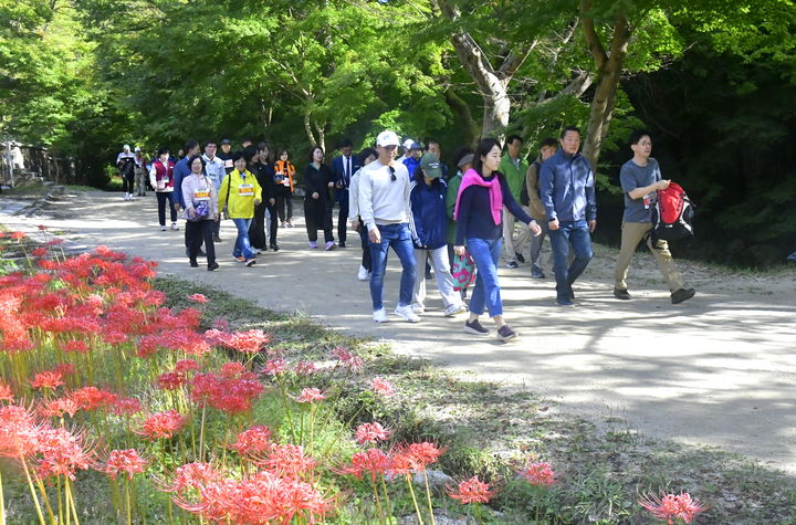 [순창=뉴시스] 최영일 순창군수가 방문객들과 함께 지난 10월 꽃무릇이 만개한 강천산을 걷고 있다.  *재판매 및 DB 금지