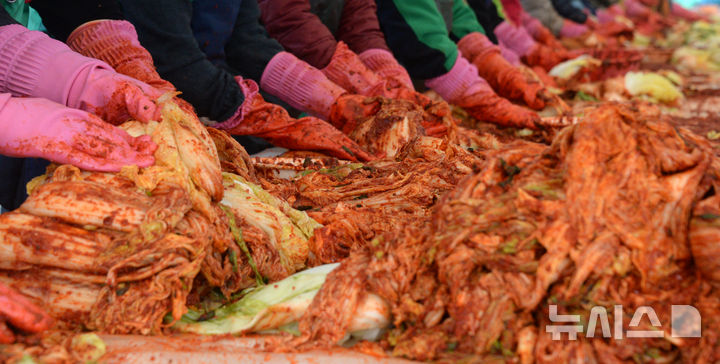 [전주=뉴시스] 김얼 기자 = 전주시새마을회 자원봉사자들이 20일 전북 전주시 전주월드컵경기장에서 '사랑의 월동김치 나눔행사'를 열고 어려운 이웃에게 전달할 김치를 담그고 있다. 2024.11.20. pmkeul@newsis.com