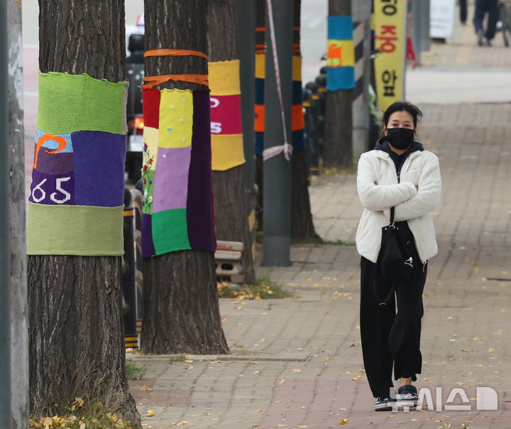 [인천=뉴시스] 전진환 기자 = 20일 오후 인천 미추홀구청 인근 가로수들이 자원봉사자들이 뜨개질로 만들어준 털실 겨울옷을 입고 있다.  2024.11.20. amin2@newsis.com