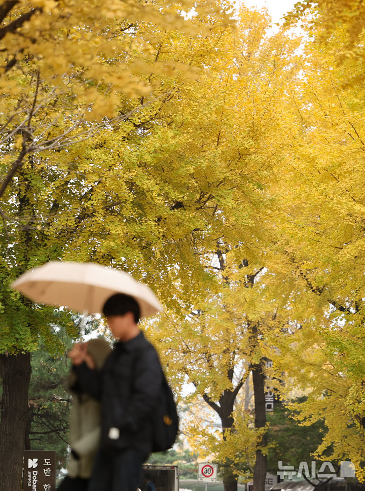 [서울=뉴시스] 황준선 기자 = 비가 내린 21일 오후 서울 종로구 거리에서 우산을 쓴 시민들이 발걸음을 옮기고 있다. 2024.11.21. hwang@newsis.com