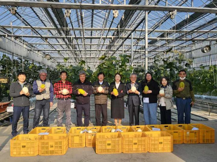 [창녕=뉴시스] 창녕군은 농업기술센터 실증시범포에서 생산된 멜론 140통을 지역 내 노인전문요양원 등 10개 시설의 이용자와 거주자 400여명에게 전달했다고 22일 밝혔다. (사진=창녕군 제공) 2024.11.22. photo@newsis.com *재판매 및 DB 금지