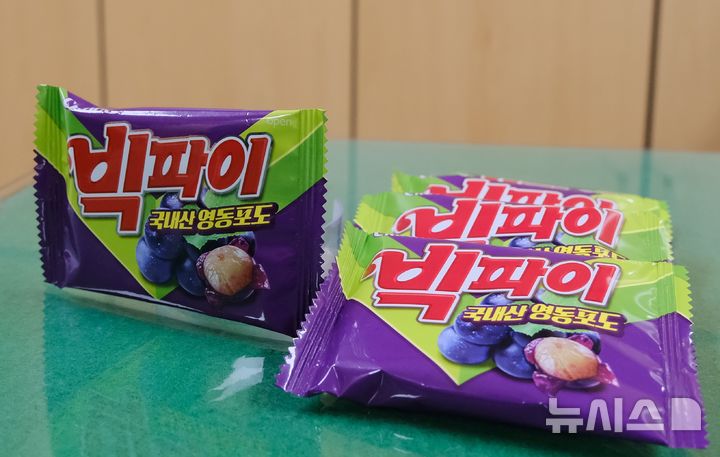 [영동=뉴시스] 충북 영동군 포도로 만든 크라운해태의 '빅파이 영동포도' 2024.11.23. hugahn@newsis.com