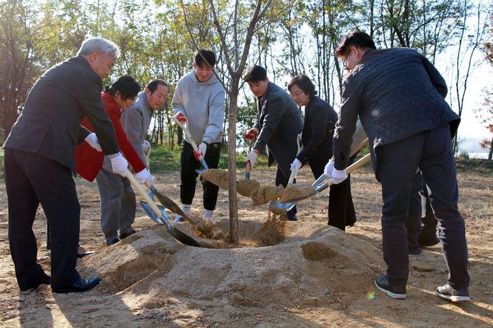 농촌진흥청은 지난 22일 민간과 함께 꿀샘나무인 밀원수 가꾸기 행사를 열었다고 25일 밝혔다. 최근 이상기후가 일상화되면서 감소하고 있는 밀원수를 회복하기 위해 민관이 뭉쳤다. (사진 = 농진청 제공) 2024.11.25.  *재판매 및 DB 금지