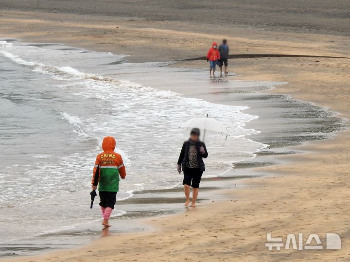 [제주=뉴시스] 오영재 기자 = 비가 내리고 있는 24일 오전 제주시 이호테우해변에서 우산과 우비를 쓴 방문객들이 맨발 걷기 활동인 '어싱'을 하고 있다. 2024.11.24. oyj4343@newsis.com  