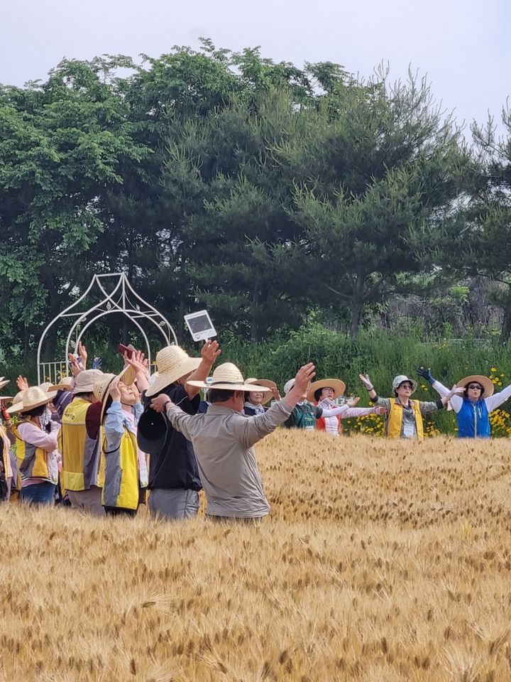 [세종=뉴시스] 도시에 거주하는 70~80대 노인들이 치유농업 프로그램에 참여 후 우울감이 평균 33% 감소한 것으로 나타났다. (사진 = 농촌진흥청 제공) 2024.11.25.  *재판매 및 DB 금지