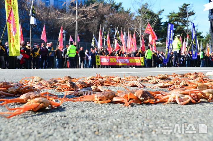 [청주=뉴시스] 서주영 기자 =  동해안 어민들이 25일 충북 청주시 흥덕구 오송읍 식약처 보건의료타운 정문 앞에서 집회를 열고 일본산 암컷 대게 수입 철회를 촉구하고 있다. 2024.11.25. juyeong@newsis.com  