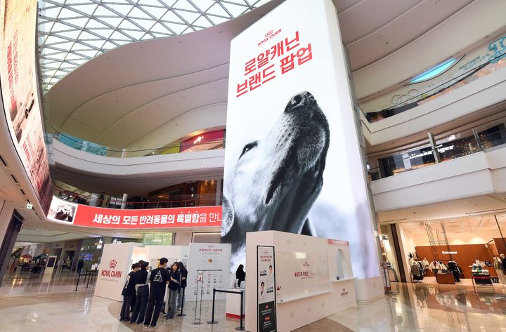 [서울=뉴시스] 고범준 기자 = 로얄캐닌코리아가 ‘놀랍도록 특별한 나의 ____(반려동물 이름)’을 주제로 스타필드 하남 센트럴 아트리움서 12월 8일까지 첫 단독 브랜드 팝업을 진행한다. 반려동물이 가지고 있는 특별한 능력을 확인하고 체험할 수 있는 다양한 프로그램을 제공한다.(사진=로얄캐닌 제공) 2024.11.25. photo@newsis.com *재판매 및 DB 금지