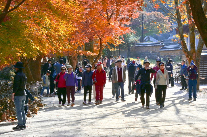 [순창=뉴시스] 많은 관광객들이 단풍명소 순창 강천산군립공원을 찾아 단풍을 즐기고 있다. *재판매 및 DB 금지