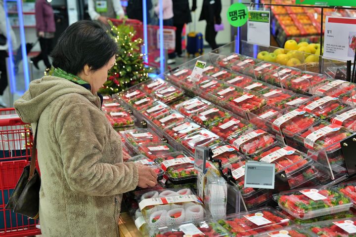 롯데마트 제타플렉스 딸기 매대. (사진=롯데마트 제공) *재판매 및 DB 금지