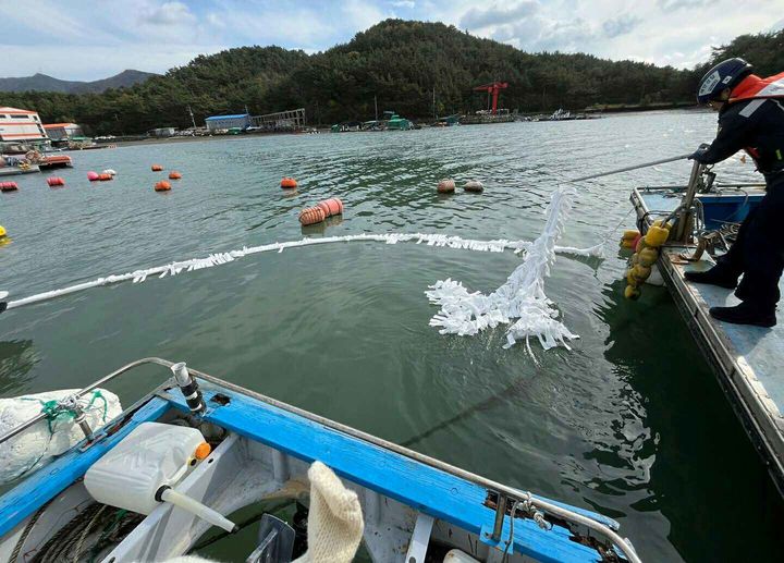 [통영=뉴시스] 신정철 기자= 통영해양경찰서는 26일 오전 통영시 도산면 앞 해상에 계류 중이던 어선에서 기름이 유출돼 긴급 방제조치 했다.사진은 통영해경이 유흡착재 약 10kg 등을 사용하여 긴급 방제조치를 취하고 있다.(사진=통영해경 제공).2024.11.26. photo@newsis.com  *재판매 및 DB 금지