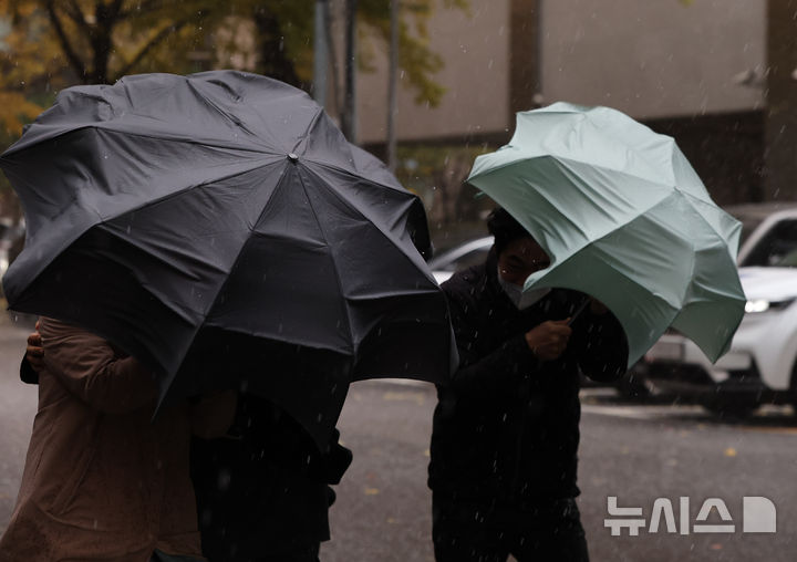 [서울=뉴시스] 황준선 기자 = 눈이 내린 26일 오전 서울 중구 거리에서 우산을 쓴 시민들이 발걸음을 제촉하고 있다. 2024.11.26. hwang@newsis.com