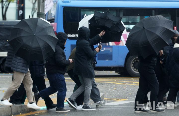 [서울=뉴시스] 고범준 기자 = 비가 내리고 찬 바람이 불고 있는 26일 서울 중구의 한 거리에서 시민들이 우산을 쓰고 지나가고 있다. 2024.11.26. bjko@newsis.com