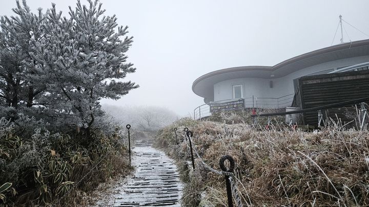 [제주=뉴시스] 27일 오전 7시께 한라산국립공원 관음사탐방로 해발 1500m 삼각봉대피소에는 상고대(서리꽃)와 함께 탐방로에 눈이 쌓였다. 삼각봉대피소 통제소 주변 경관인 삼각봉은 안개가 덮여서 보이지 않았다. 이날 산지에 대설특보가 내려짐에 따라 한라산국립공원 7개 탐방로가 전면 통제된 가운데 통제조치 직전인 오전 5시에 출발한 한 탐방객이 삼각봉대피소까지 갔다가 돌아오면서 경관을 찍었다. (사진=독자 제공) 2024.11.27. photo@newsis.com *재판매 및 DB 금지