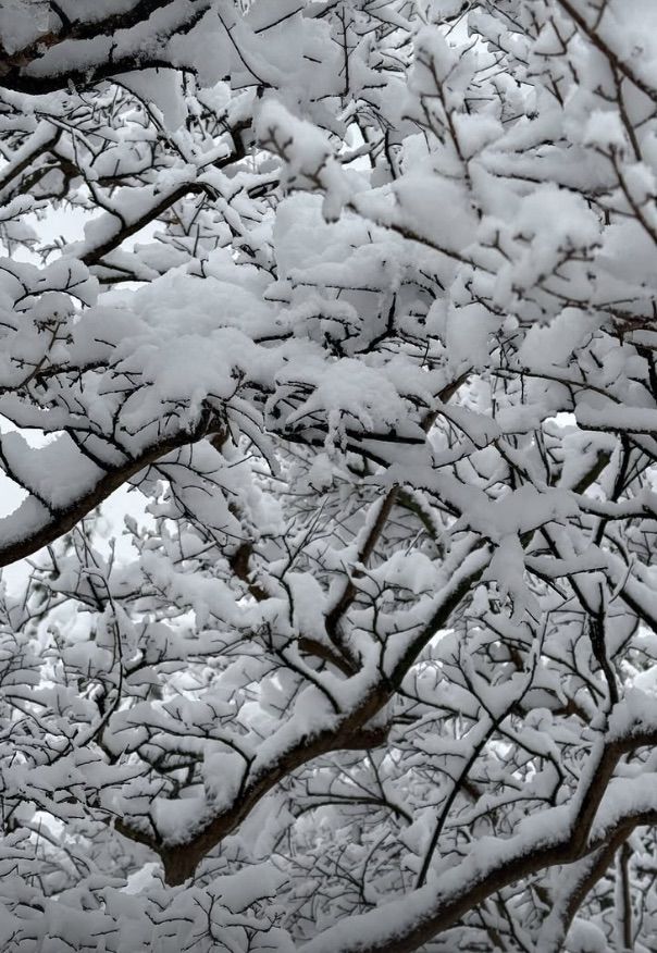 [서울=뉴시스] 27일 이동휘는 자신의 사회관계망서비스(SNS)에 게시글을 올렸다. (사진=인스타그램 갈무리) *재판매 및 DB 금지