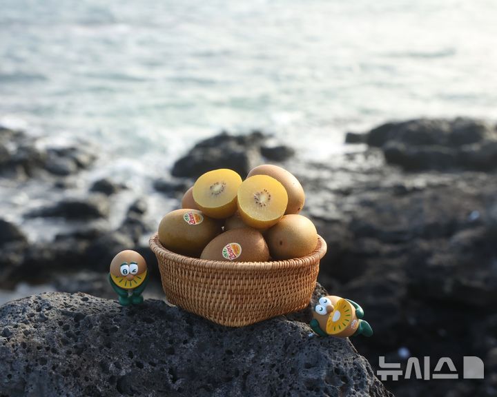 [서울=뉴시스] 제스프리 키위. (사진= 제스프리 제공)