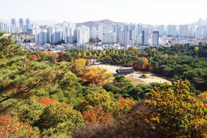 [서울=뉴시스] 이정근 작가의 서울 의릉 전경 (사진=국가유산청 제공) 2024.11.28. photo@newsis.com  *재판매 및 DB 금지