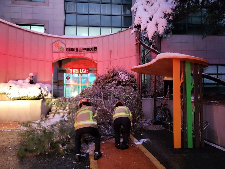 [천안=뉴시스] 대설경보가 내려진 27일 충남 천안 아우내 은빛복지관 앞 수목이 전도돼 소방대원들이 복구에 나섰다. (사진=천안동남소방서 제공) 2024.11.28 photo@newsis.com&nbsp; *재판매 및 DB 금지