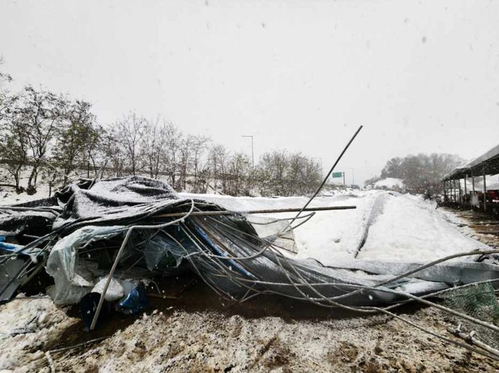 [천안=뉴시스] 충남 천안시 서북구 입장면 용정리 한 축사 지붕이 무너지며 젖소 3마리가 폐사했다. (사진=천안시 제공) 2024.11.28 photo@newsis.com *재판매 및 DB 금지