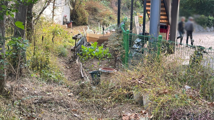 [광주=뉴시스] 광주 남구는 지난 12일 남구 백운동 한 아파트 주변 텃밭에서 허가없이 작물을 길러온 어르신들을 적발하고 아파트 관리소장에게 원상복구 명령을 내렸다고 28일 밝혔다. (사진 = 광주 남구 제공) 2024.11.28. photo@newsis.com *재판매 및 DB 금지