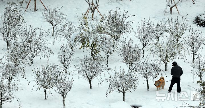 [서울=뉴시스] 고범준 기자 = 수도권 등 곳곳에 '대설경보'가 지속하며 강한 눈이 이어지고 있는 28일 오전 서울 영등포구 당산역 인근에서 시민들이 산책을 하고 있다.   한편 지난 27일 서울은 117년 만에 11월 중 가장 많은 눈이 내렸다. 2024.11.28. bjko@newsis.com