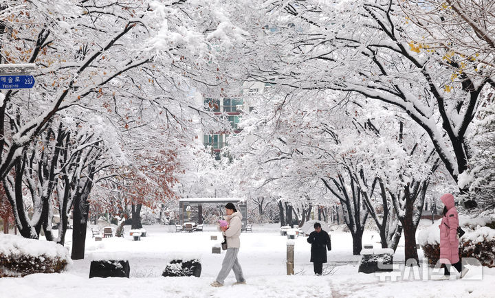 [인천=뉴시스] 전진환 기자 = 지난 28일 오전 인천 남동구 중앙공원 일대가 눈으로 덮여 있다.&nbsp; 2024.11.28. amin2@newsis.com