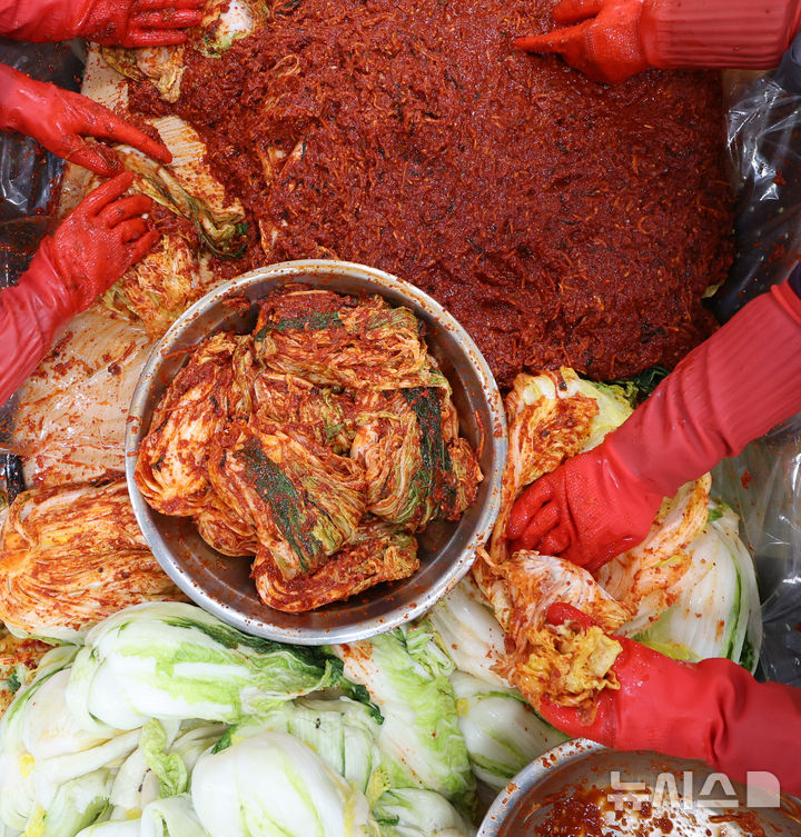 [인천=뉴시스] 전진환 기자 = 28일 오후 인천 연수구 대한적십자사 인천지사에서 적십자 봉사원들이 사랑의 김장 나눔 행사에 참가해 김장을 담그고 있다. 기사 내용과 관련 없음. 2024.11.28. amin2@newsis.com