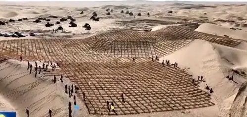 [서울=뉴시스] 중국이 자국내 최대이자 세계 두 번째 사막인 타클라마칸 사막을 인공숲 이른바 그린벨트로 둘러싸는 프로젝트를 마무리했다. 그린벨트 조성 최종 작업이 진행 중인 모습. <사진출처: CCTV> 2024.11.29 